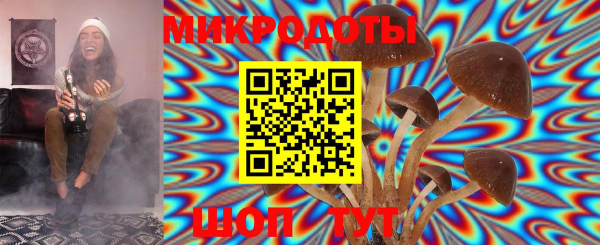 Псилоцибиновые грибы Magic Shrooms  закладки  Вход с VPN  Вичуга  Галлюциногенные грибы Magic Shrooms 