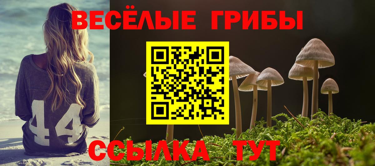Псилоцибиновые грибы прущие грибы Вичуга